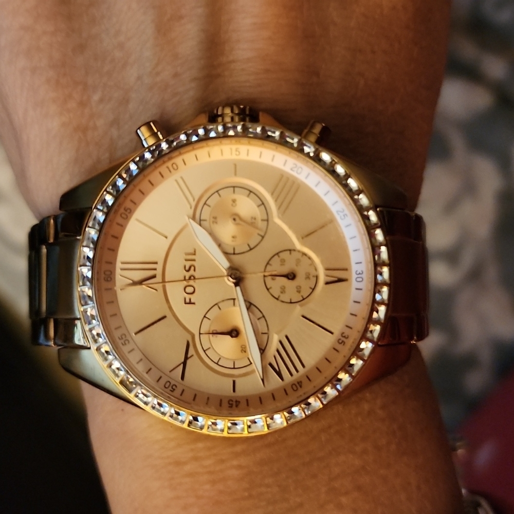 Fossil Watch